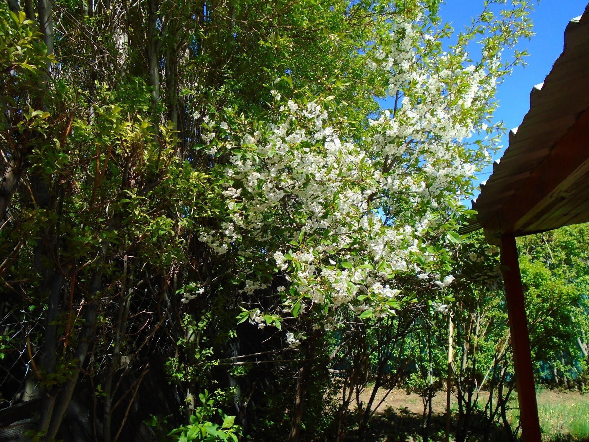Los Fresnos El Calafate Exterior photo